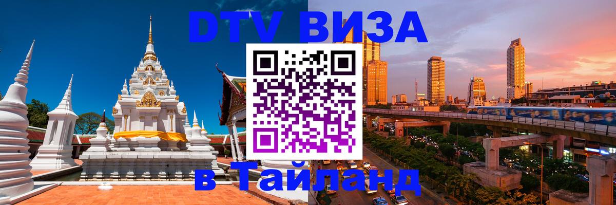 Сколько стоит DTV виза — актуальные цены, оформление даже без документов - Бишкек 